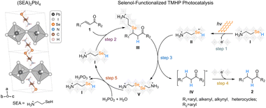 Graphical abstract: Selenol-containing two-dimensional perovskite promotes visible-light-driven selective reduction of unsaturated ketones
