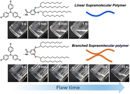 Graphical abstract: Linear and branched supramolecular polymers formed from isomeric monomers as revealed by solution viscoelasticity