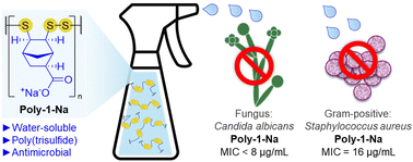 Graphical abstract: A poly(trisulfide) oligomer with antimicrobial activity