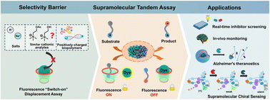 Graphical abstract: A reflection on enzyme-coupled supramolecular sensing: overcoming selectivity barriers with macrocyclic reporter pairs