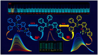 Graphical abstract: An imidazole-based fluorescent sensor for selective detection of Cu2+ and BF3 with environmental applications