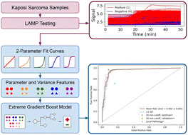 Graphical abstract: Artificial intelligence-powered signal analysis of loop-mediated isothermal amplification (LAMP) for the screening of Kaposi sarcoma at the point of care