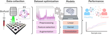 Graphical abstract: Evaluation of machine learning and deep learning models for the classification of a single extracellular vesicles spectral library