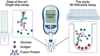 Graphical abstract: Adapting antibody–invertase fusion protein immunoassays to multiwell plates for infectious disease antibody quantification