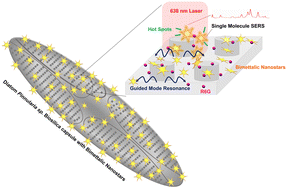 Graphical abstract: Reproducible single-molecule optofluidic-SERS analysis on nanostar-activated diatom biosilica capsules