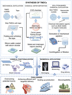Graphical abstract: Transition metal dichalcogenides as platforms for biosensing, phototherapy, and drug delivery