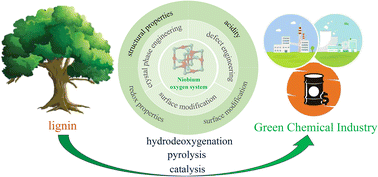 Graphical abstract: An interesting carrier: the excellent performance of Nb2O5 in biomass hydrodeoxygenation