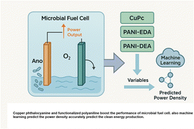 Graphical abstract: Integrating functionalized catalysts and machine learning to optimize microbial fuel cells for clean energy applications