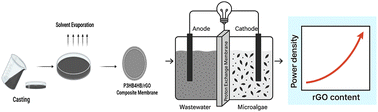 Graphical abstract: Biodegradable rGO-reinforced poly(3-hydroxybutyrate-co-4-hydroxybutyrate) (P3HB4HB) composite membranes for enhanced power generation in microbial fuel cells: a sustainable alternative to commercial PEMs