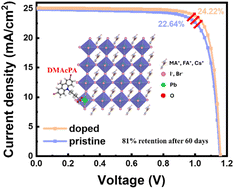 Graphical abstract: Phosphonic acid Lewis base doping for trap passivation and stability enhancement in high-efficiency inverted perovskite solar cells