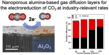 Graphical abstract: Nanoporous anodic alumina-based gas diffusion layers for the electroreduction of CO2