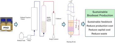 Graphical abstract: Sustainable biodiesel production: catalyst-free palm fatty acid distillate conversion to methyl esters by using a superheated methanol vapor process