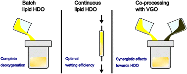 Graphical abstract: Catalytic hydrodeoxygenation of black soldier fly larval lipids and co-processing with vacuum gas oil into biofuel intermediates