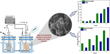 Graphical abstract: MgO/CuO modified stainless steel mesh cathode for enhanced CO2 reduction to biomethane in a microbial electrosynthesis system