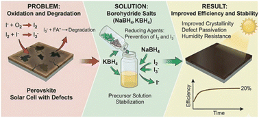 Graphical abstract: The dual role of borohydride salts in enhancing perovskite solar cell performance and stability