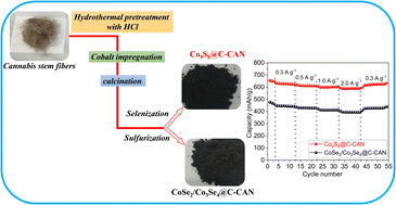 Graphical abstract: Engineering hemp-derived carbon–cobalt chalcogenide hybrids toward durable and high-capacity sodium-ion batteries
