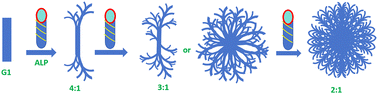 Graphical abstract: Ordered co-assembly based on chiral phenylalanine derivatives and achiral coumarin derivatives