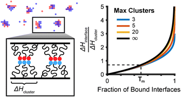 Graphical abstract: Modeling the role of supramolecular clustering in multivalent assembly
