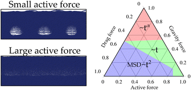 Graphical abstract: Bubbling and mixing of vibrated and non-vibrated gas-fluidized active granular matter