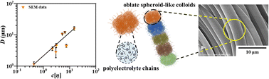 Graphical abstract: Revisiting the solution properties of sodium alginate in aqueous media