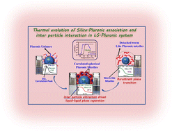 Graphical abstract: Association of Pluronics at silica surfaces and accompanying evolutions of inter particle interactions in conjugate nano-suspensions