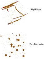 Graphical abstract: Bridging-induced aggregation in neutral polymers: dynamics and morphologies