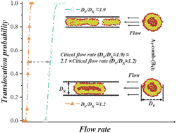 Graphical abstract: Flow-driven translocation of comb-like copolymer vesicles through a nanochannel: the influence of nanochannel size and vesicle membrane thickness