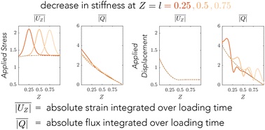 Graphical abstract: Cyclic loading of a heterogeneous non-linear poroelastic material
