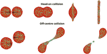 Graphical abstract: Collision of surfactant-laden droplets: insights from molecular dynamics simulation