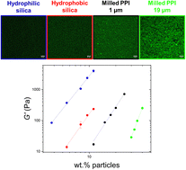 Graphical abstract: Dispersion behaviour of insoluble particles with different surface properties in non-aqueous media – biopolymer based oleogels