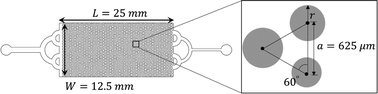 Graphical abstract: Voltage-controlled pattern transition of liquid metals in disordered porous media