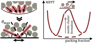 Graphical abstract: Symmetry-breaking motility of an active hinge in a crowded channel
