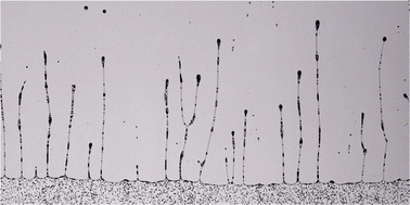Graphical abstract: Particle-laden filaments from a draining suspension