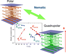 Graphical abstract: Signatures of polar order in a ferroelectric nematic liquid crystal: splay stiffening and twist softening