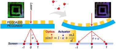 Graphical abstract: A soft hydrogel-based bilayer grating for moisture-driven actuation and optical encoding
