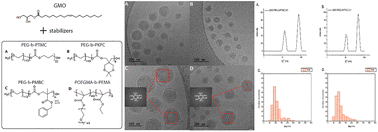 Graphical abstract: Novel amphiphilic copolymers as stabilizers for glyceryl monooleate-based lipid–polymer hybrid nanoparticles