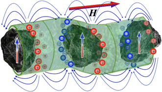 Graphical abstract: Modeling of the field-induced electrization of a magnetoelectric PVDF@cobalt ferrite filament