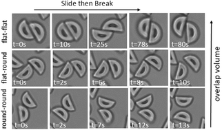Graphical abstract: Lifetime and fluctuations of specific bonds between anisotropic colloids mediated through depletion interactions
