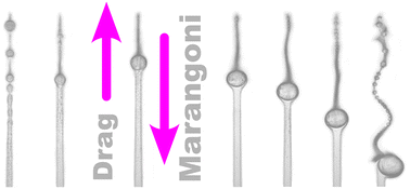 Graphical abstract: Upstream motion of oil droplets in co-axial Ouzo flow due to Marangoni forces