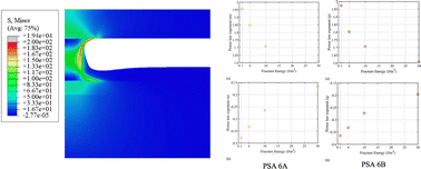 Graphical abstract: Stretching and debonding of adhesive fibril