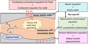 Graphical abstract: Electro-magneto-kinetic thermo-fluid–structure interactions of viscoelastic electrolytes through soft micro-confinements