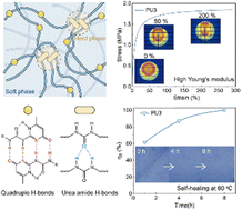 Graphical abstract: Hydrogen bond-triggered self-healing polyurea elastomers with mechanical robustness via dual-dynamic phase structure construction