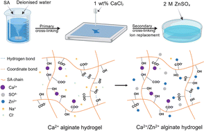 Graphical abstract: Ca2+/Zn2+ alginate hydrogel electrolyte for high-performance zinc–ion batteries