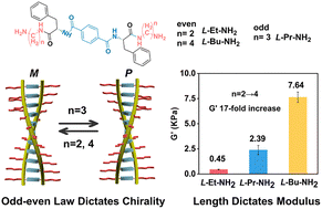 Graphical abstract: Simultaneous modulation of chirality and mechanical properties in supramolecular hydrogels by varying alkyl spacer length
