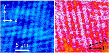 Graphical abstract: Periodic ground state in the nematic phase of DIO due to an intrinsic surface electric field