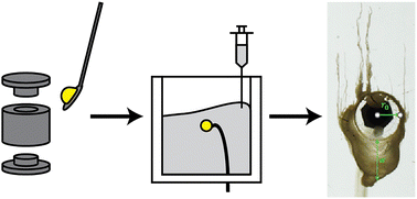 Graphical abstract: Differing growth dynamics in seed-grown planar vertical chemical gardens