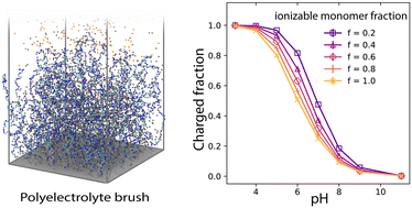 Graphical abstract: Simulation of weak polyelectrolyte brushes: the effects of ionizable monomer fraction and monovalent salt
