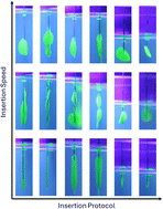 Graphical abstract: A novel approach to measure needle insertion responses and the overlooked impact of insertion on injection outcomes