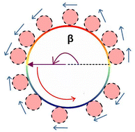 Graphical abstract: Spontaneous rotation of an inclusion in a chiral active bath