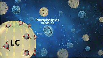 Graphical abstract: Thermotropic liquid crystal droplets stabilized by nanoparticles for the optical detection of phospholipid membranes: impact of membrane composition on LC ordering transitions